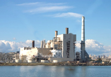 Nuclear power plant