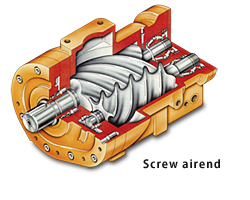 Screw airend